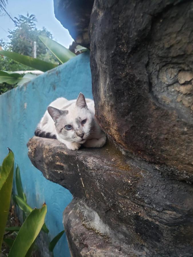 Shanti - Hospedaria Na Vila De Sao Jorge エクステリア 写真